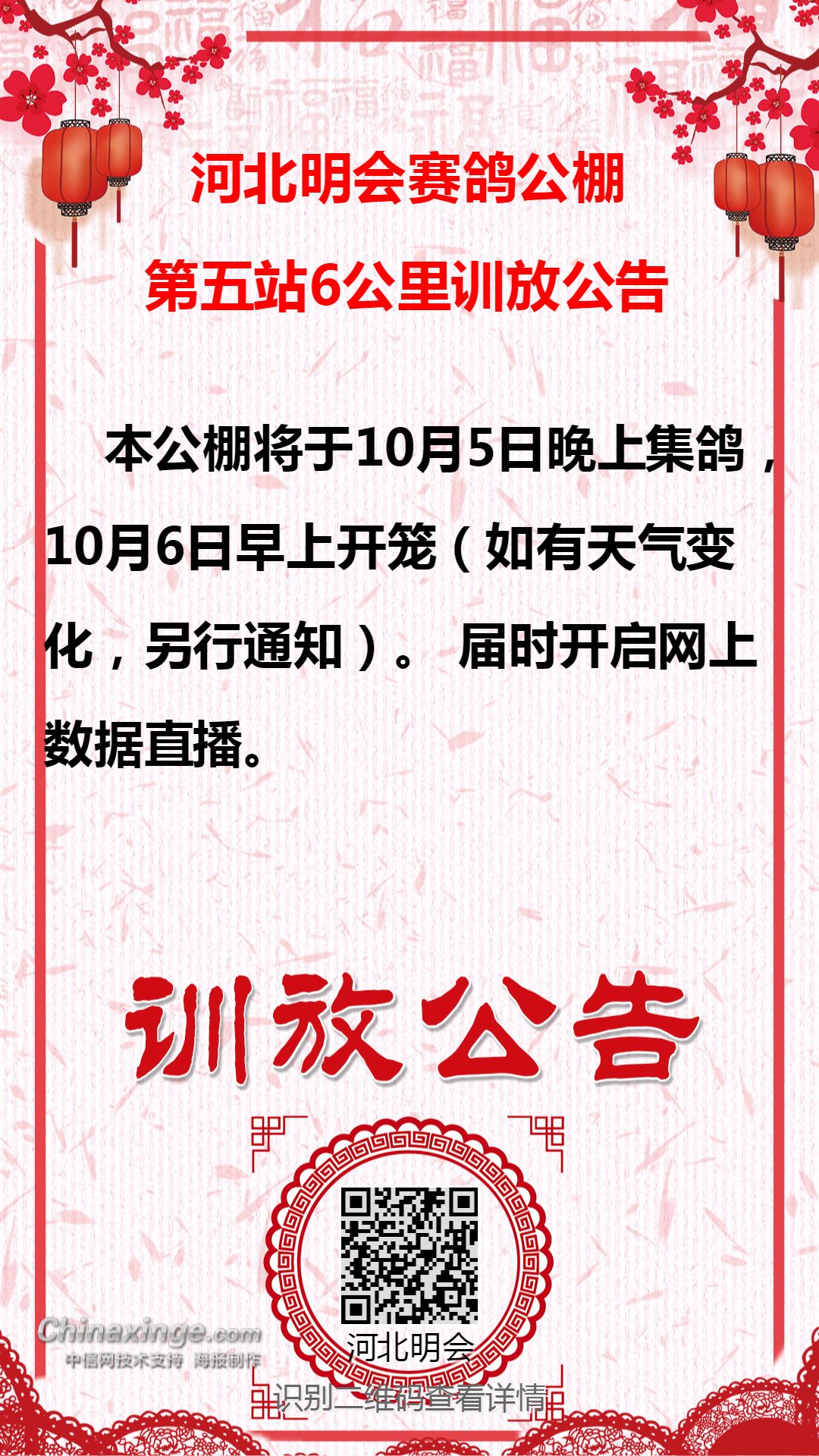 资讯 第91页
