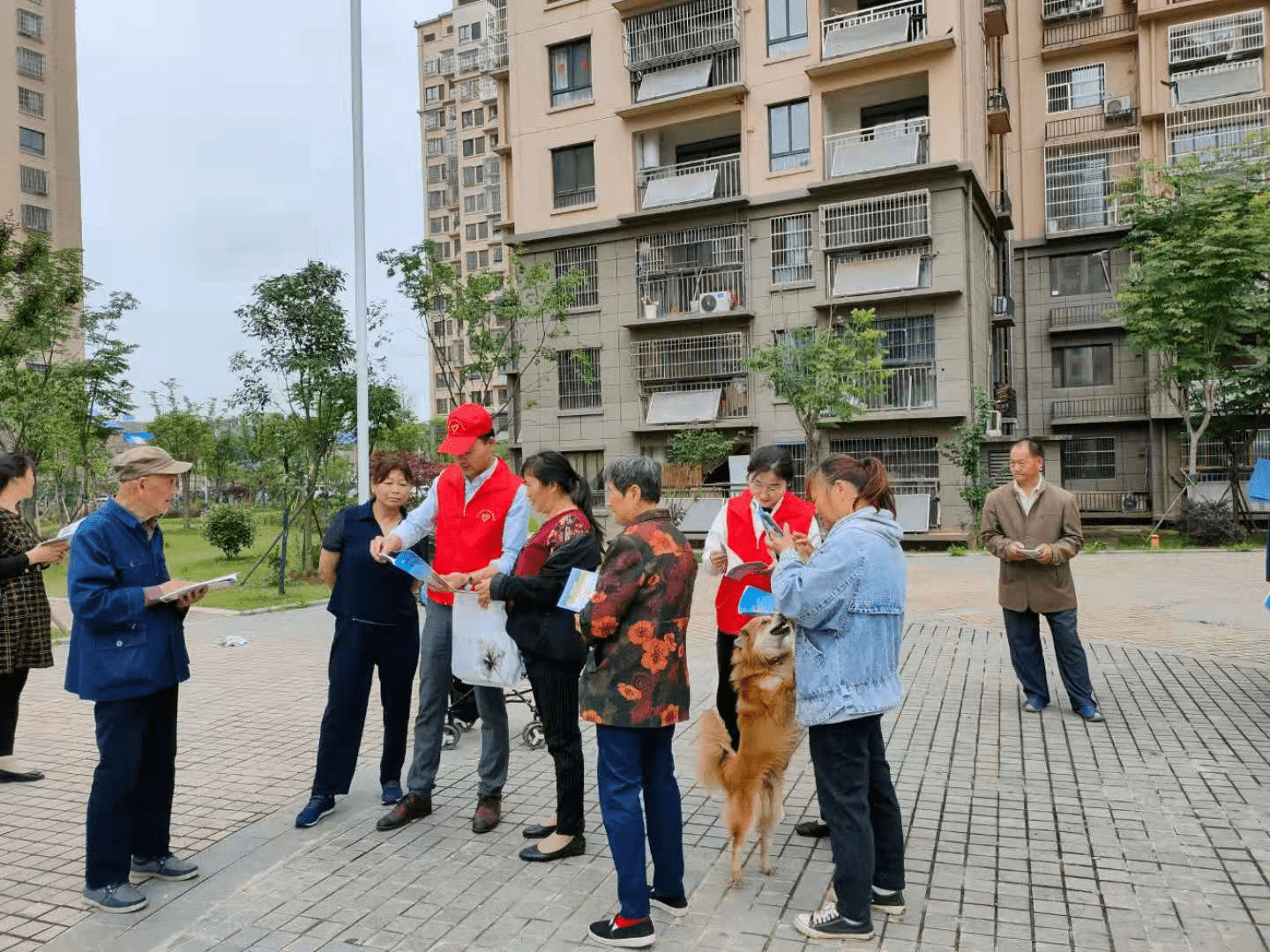 2025今晚澳门开什么码;警惕虚假宣传-全面贯彻解释落实