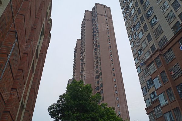 幸福金色年华最新房价