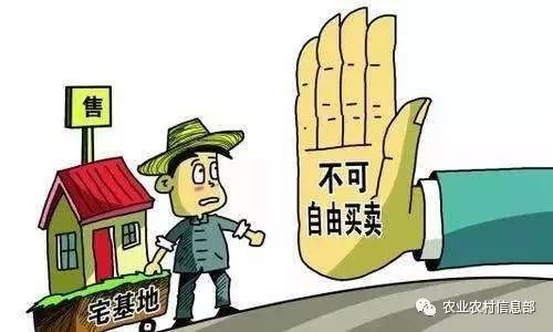 广州宅基地买卖最新政策法规