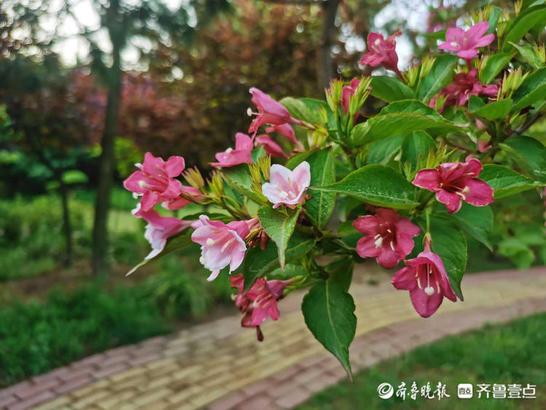 日照齐鲁人才网最新招聘信息网