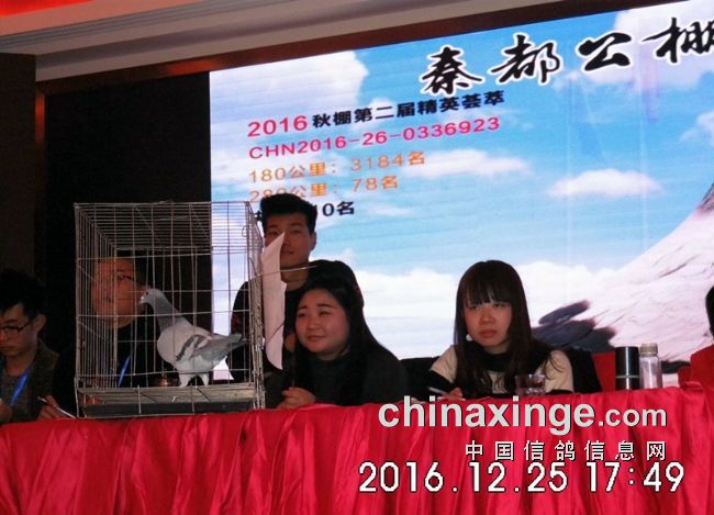 陕西秦都公棚最新公告