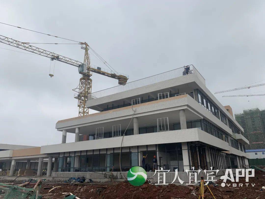 军改最新消息三剑客