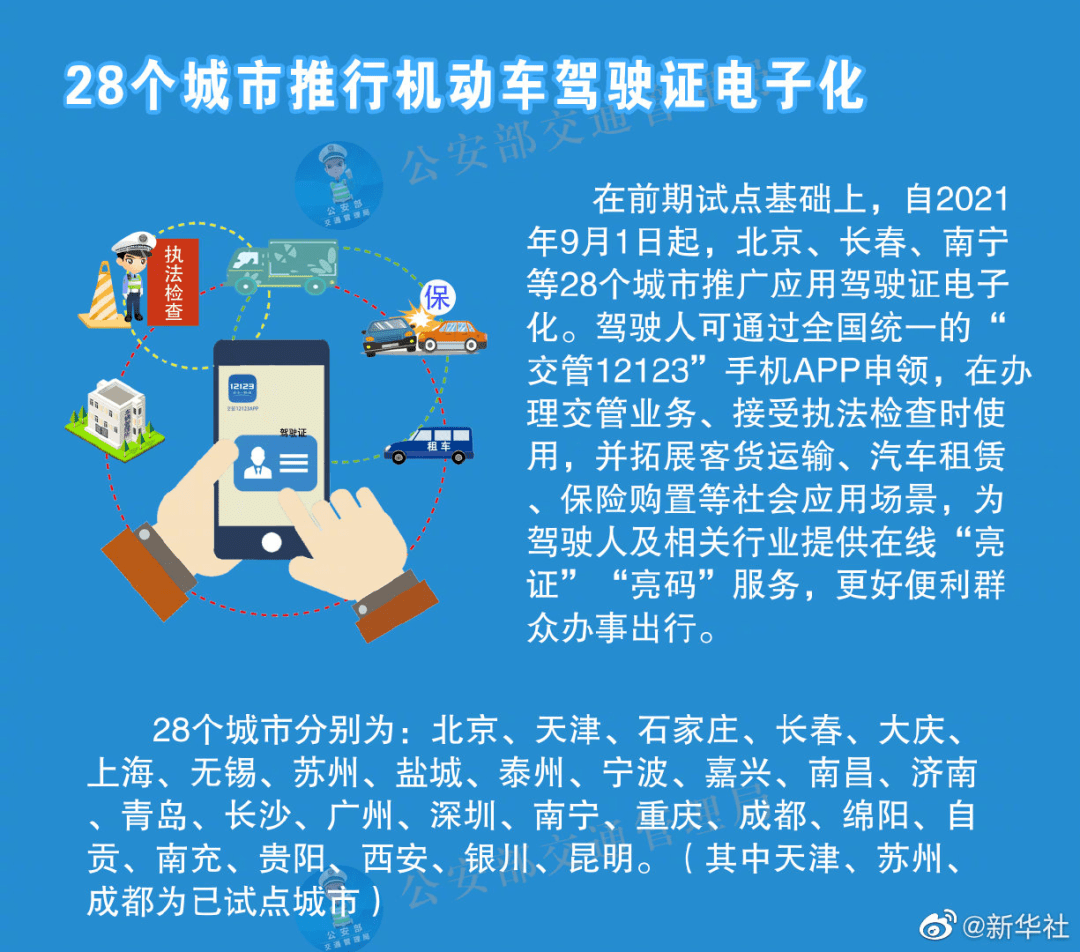 新澳2025精准正版免費資料,合法性全面释义、解释与落实